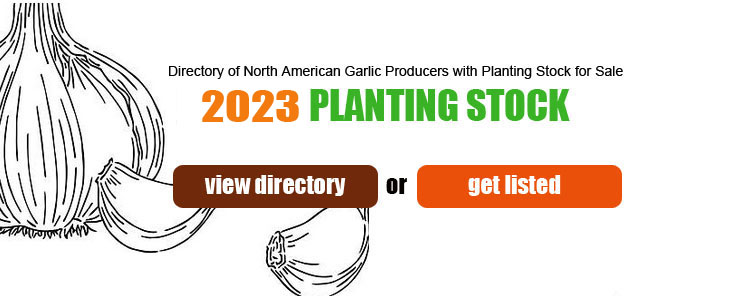 2023 Garlic Planting Stock