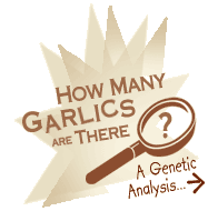 How Many Garlics Are There? 